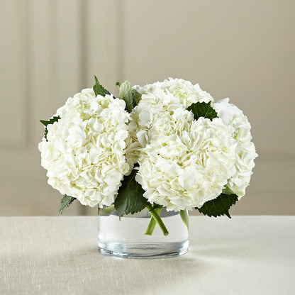 White Hydrangea Bouquet –  Floreria Mexico #3, Torrance CA